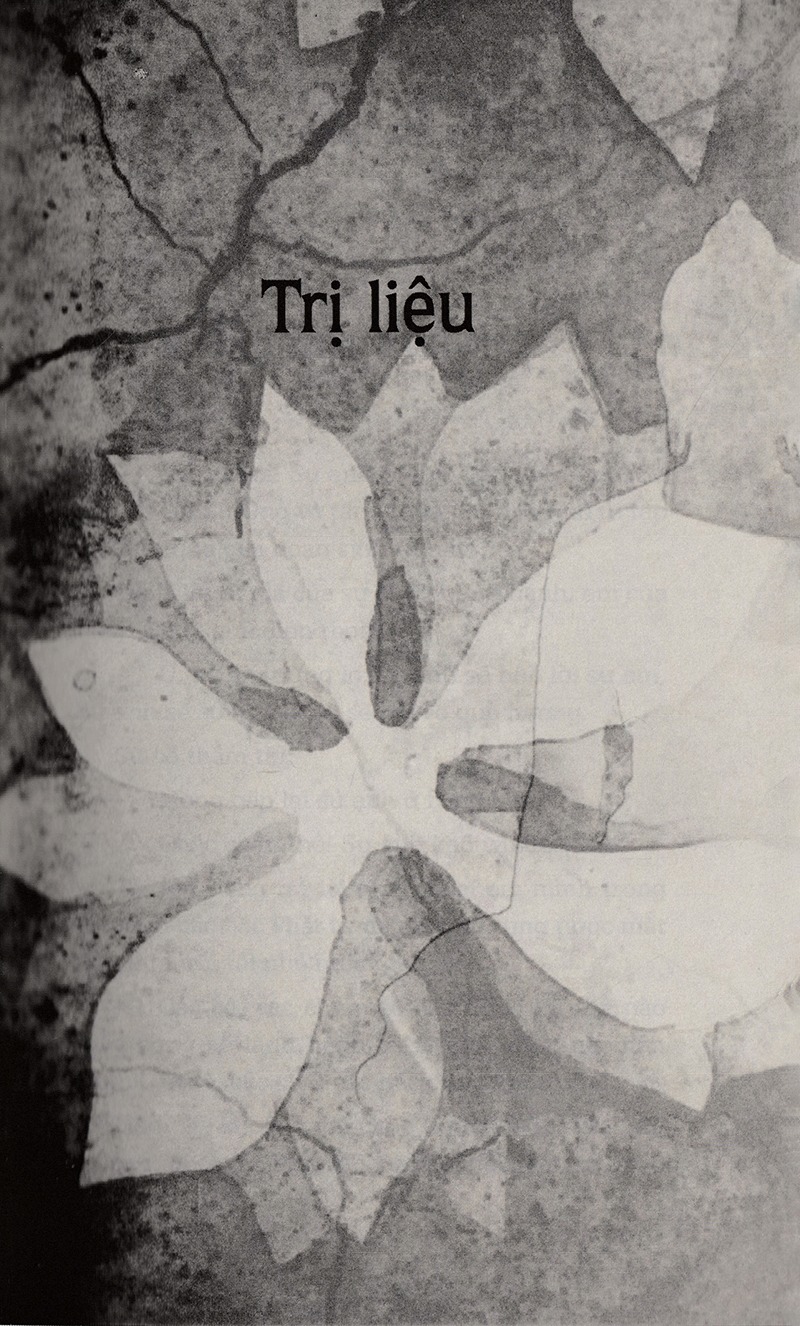 Fahasa - Trị Liệu Ung Thư Bằng Chánh Niệm