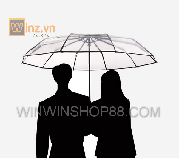[FREESHIP MAX 15K][HCM]Dù gấp trong suốt siêu gọn (Viền Màu Đen)