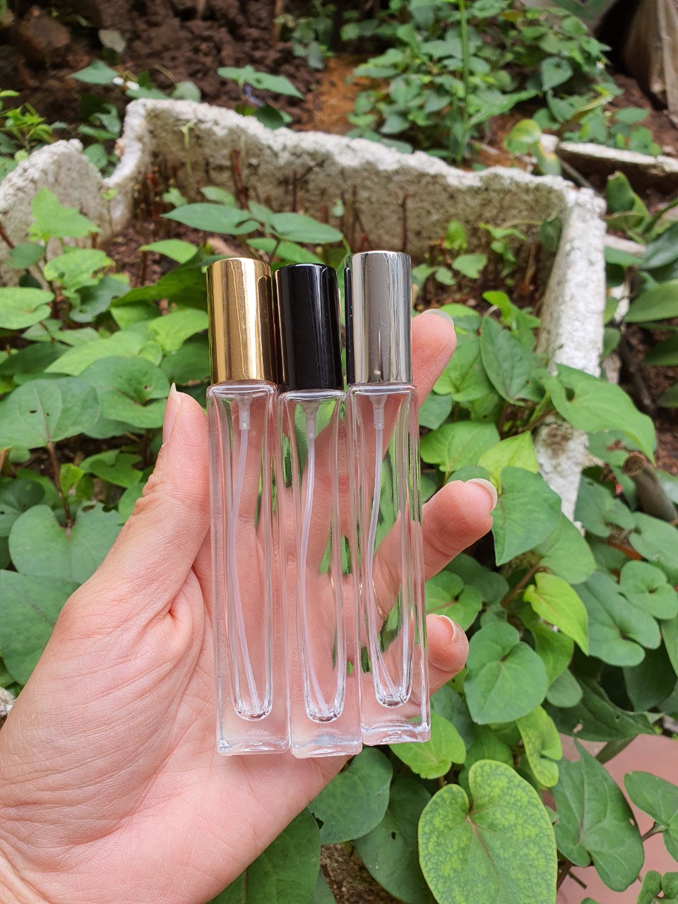 Combo 50 chai chiết nước hoa rỗng 10ml