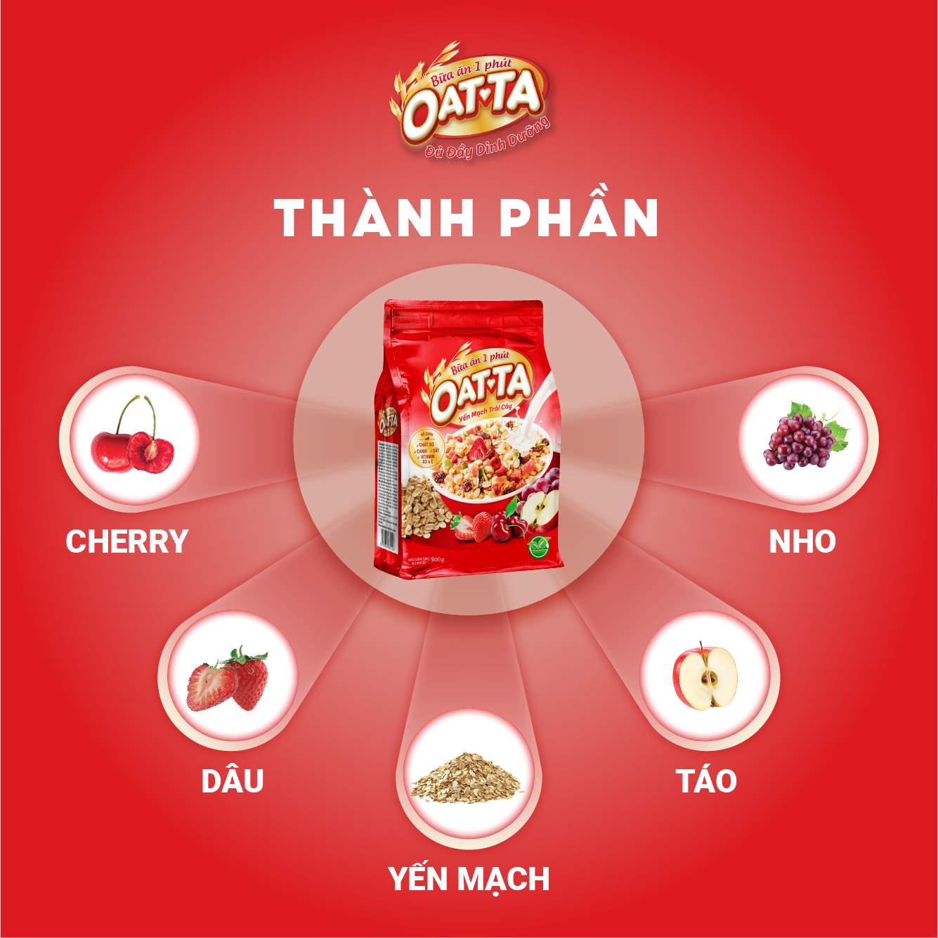 Yến Mạch Ăn Liền Trái Cây OATTA Túi 800g