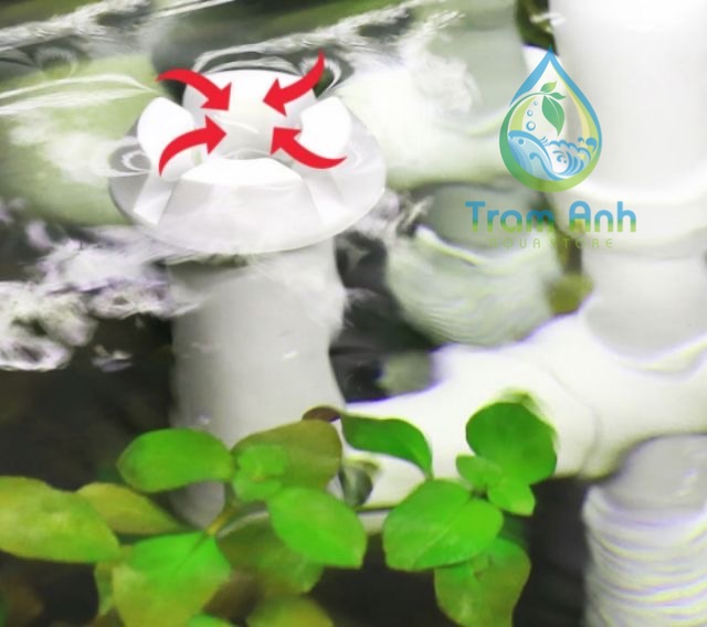 lọc treo bể cá