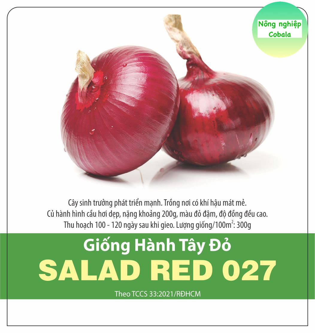 Hạt Giống Hành Tây Đỏ (2gr)