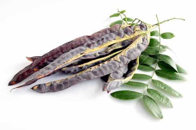 Dầu Gội Cao Bồ Kết Thorakao