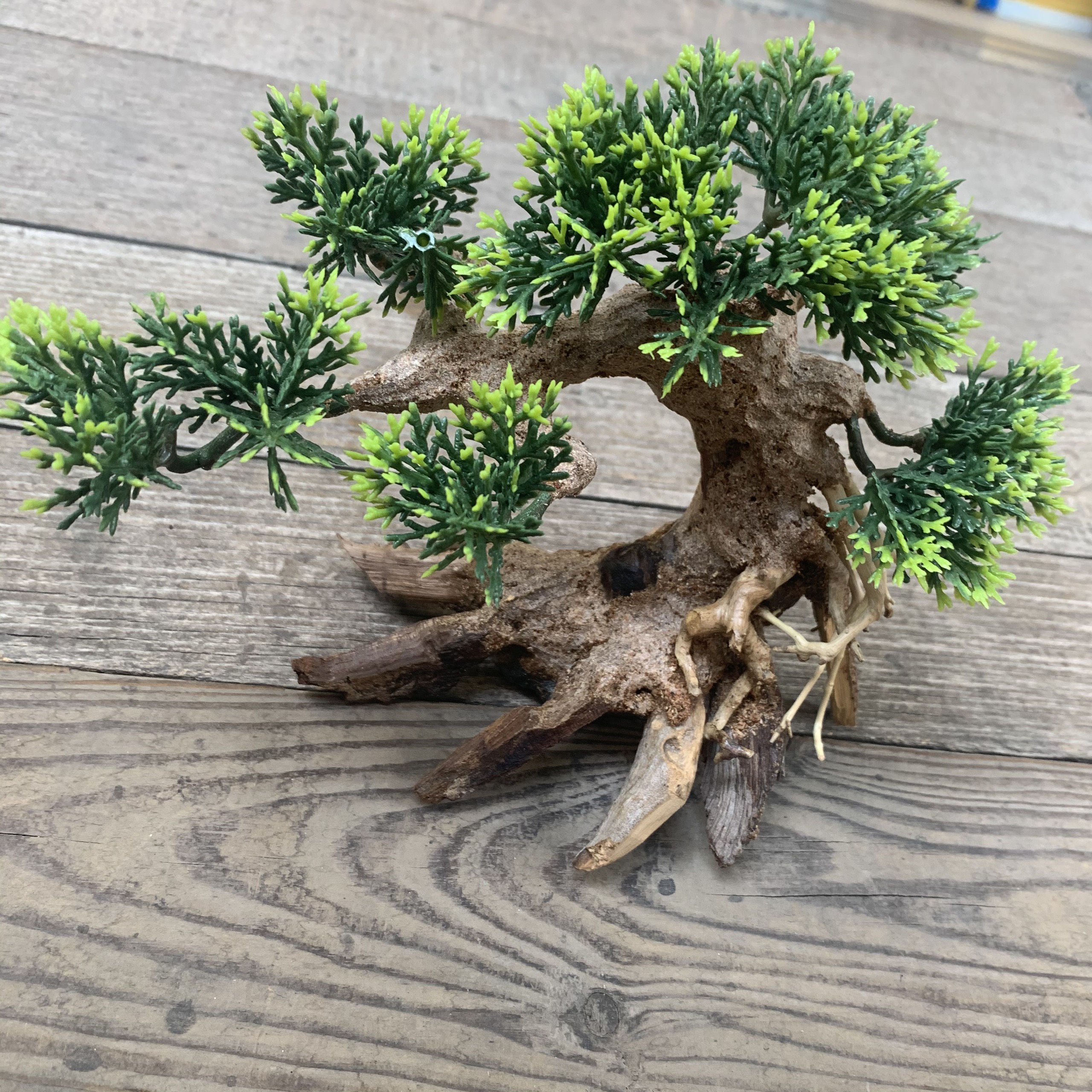 Cây Bonsai Cao Cấp Trang Trí Hồ Cá Thuỷ Sinh .