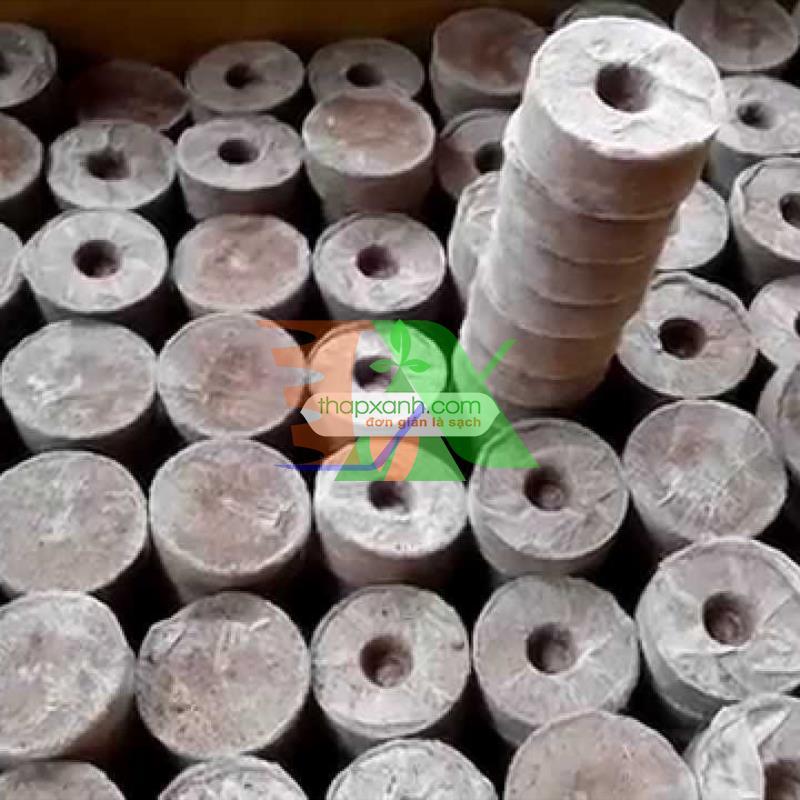 Box 200 tablets ươm beads, tablets Coir