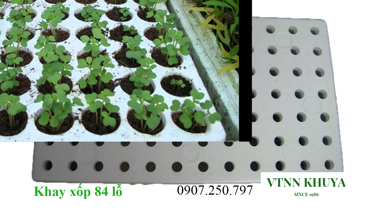 Khay xốp ươm hạt xốp 84 lỗ
