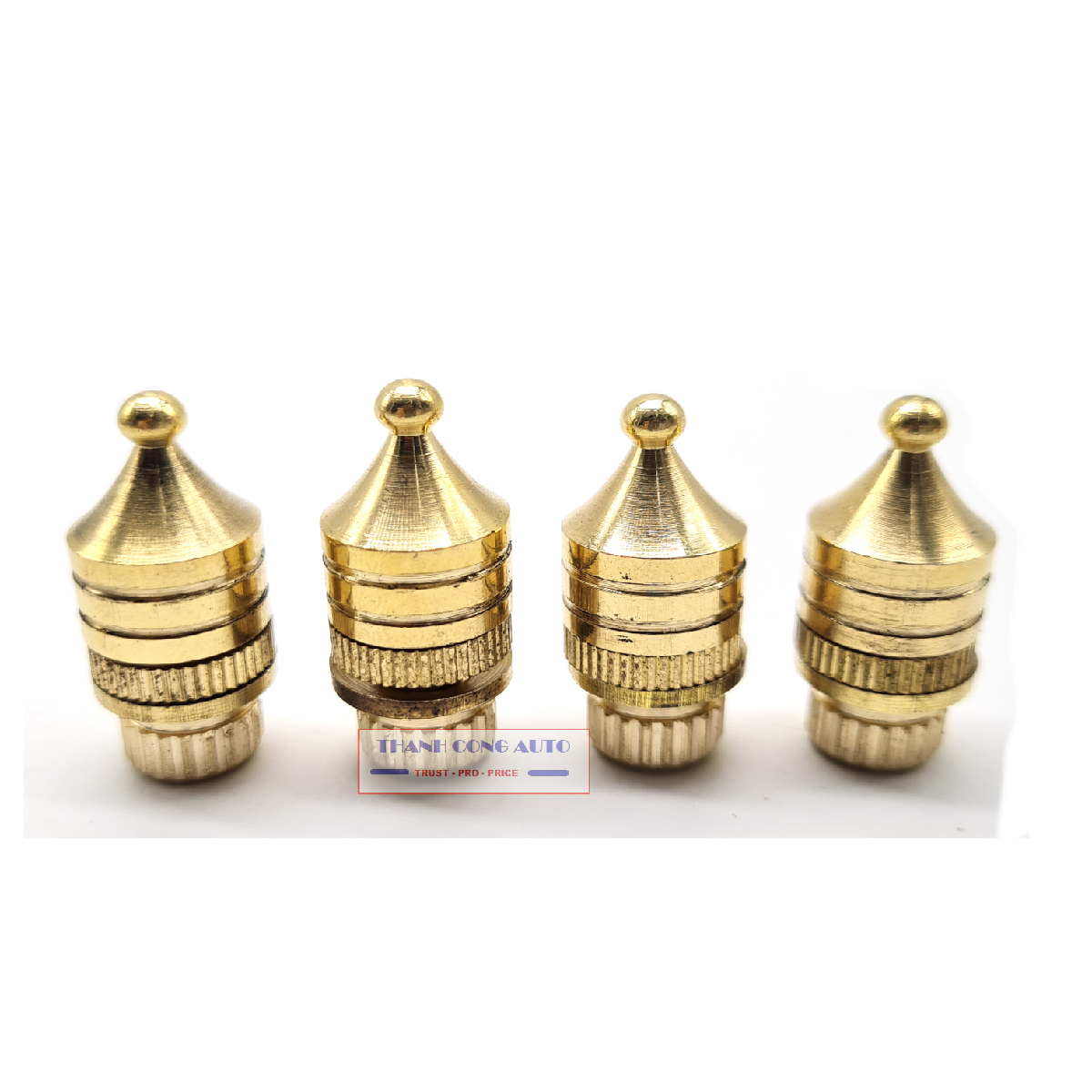 Chân đinh chống rung loa amply QYY, đỡ kệ