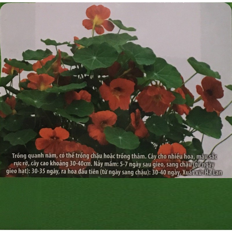 PHÂN BÓN HỮU CƠ SINH HỌC MINRO (VIÊN NỞ) BỊCH 2KG