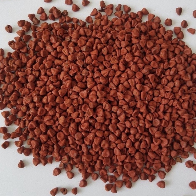 Hạt điều màu Viet San 100g