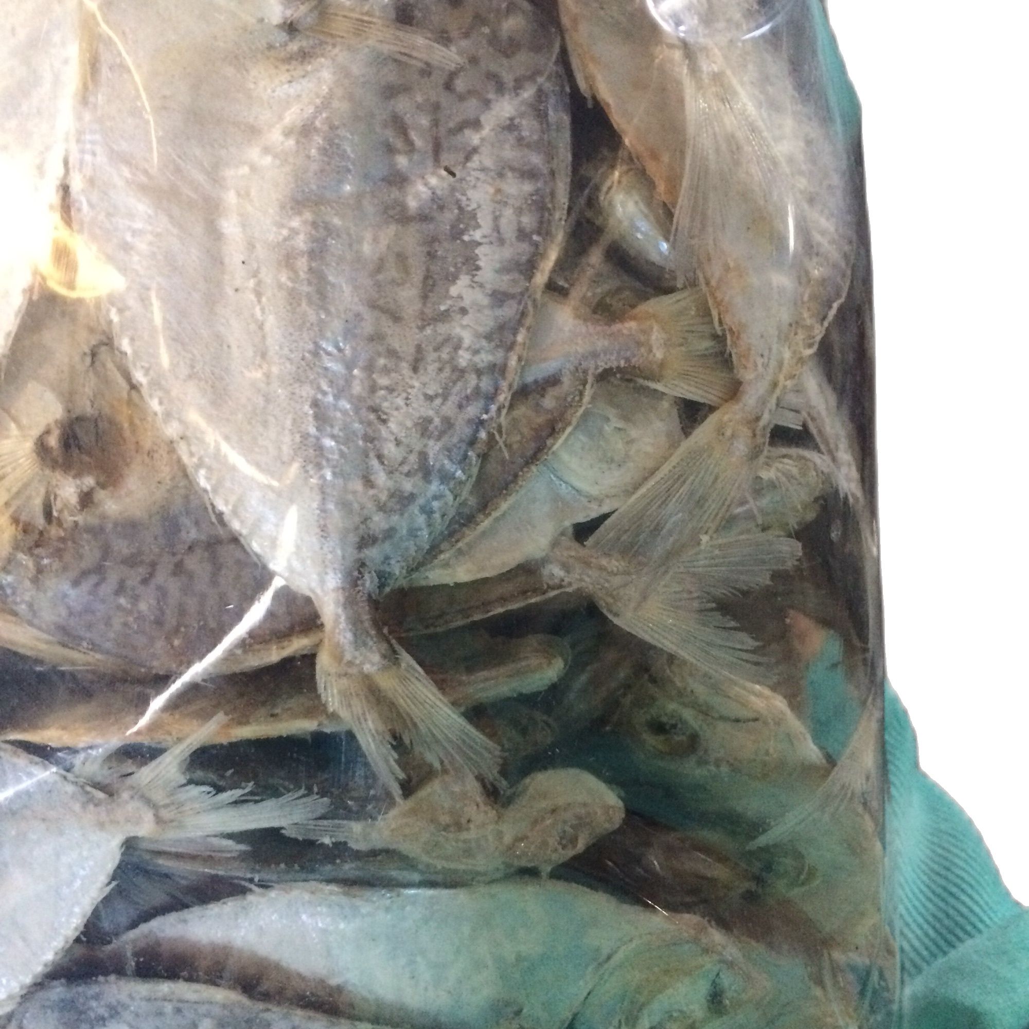 500g cá liệt khô