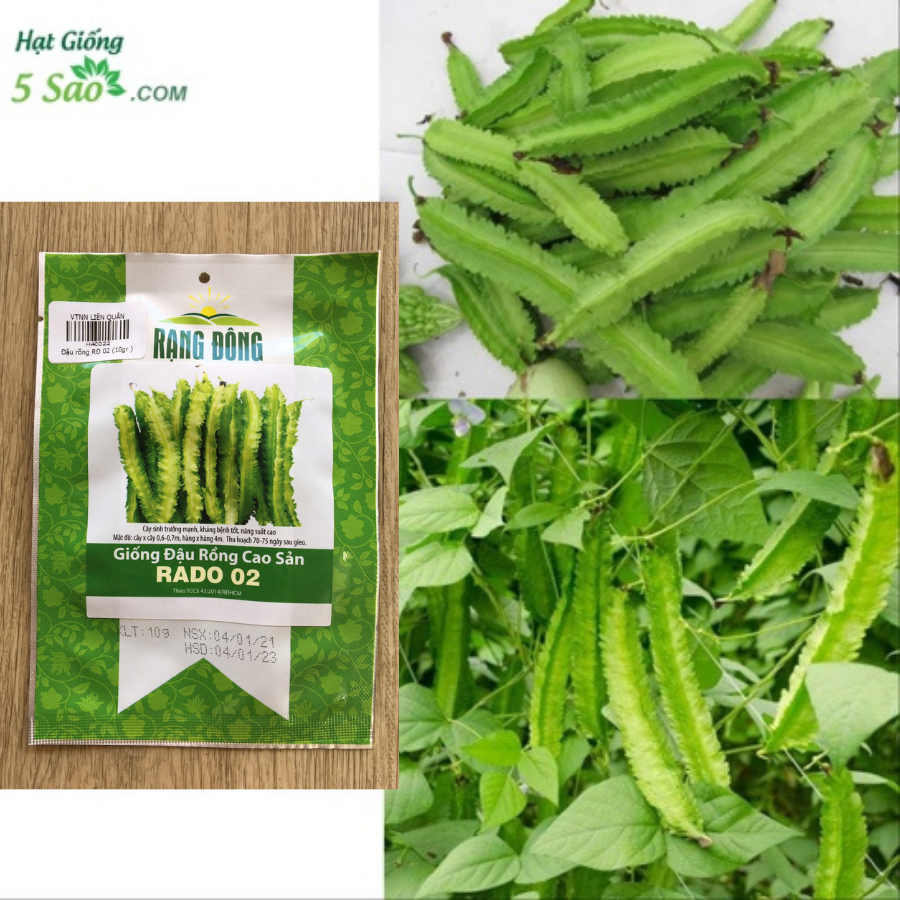 Hạt giống đậu rồng cao sản rado 02 rạng đông gói 10gram