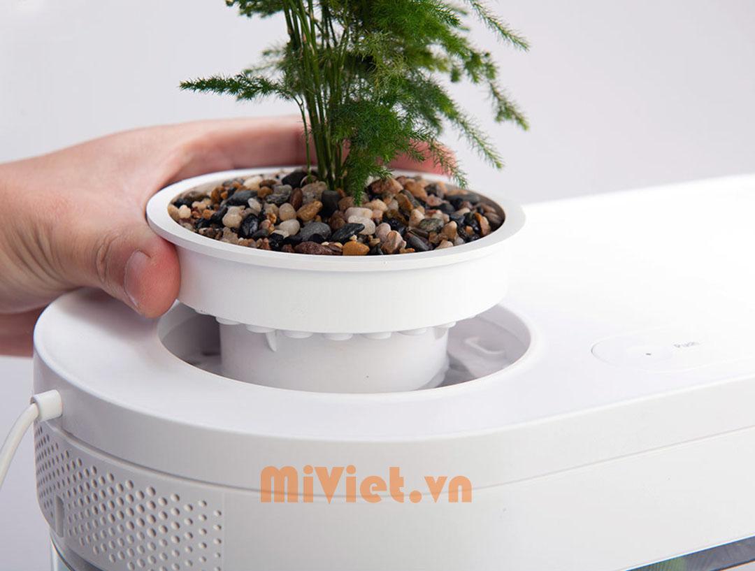 Bể cá thủy sinh mini Xiaomi