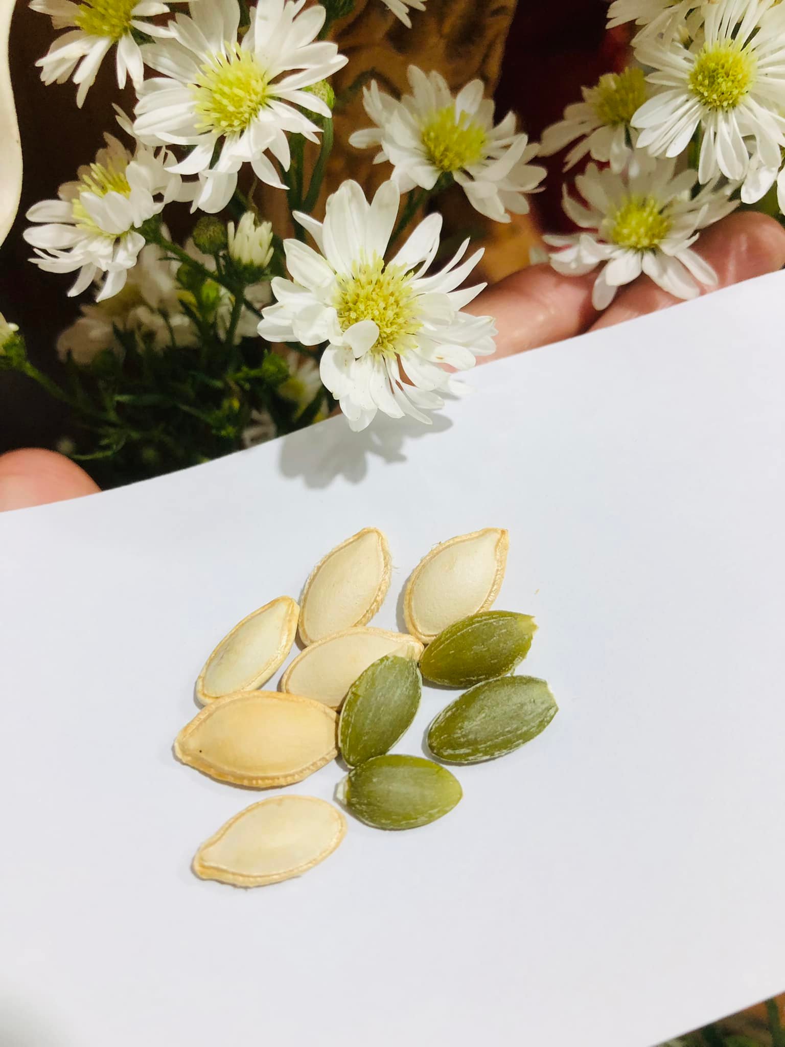 HẠT BÍ RANG TAY GIÒN NGON BÉO GÓI 500GR