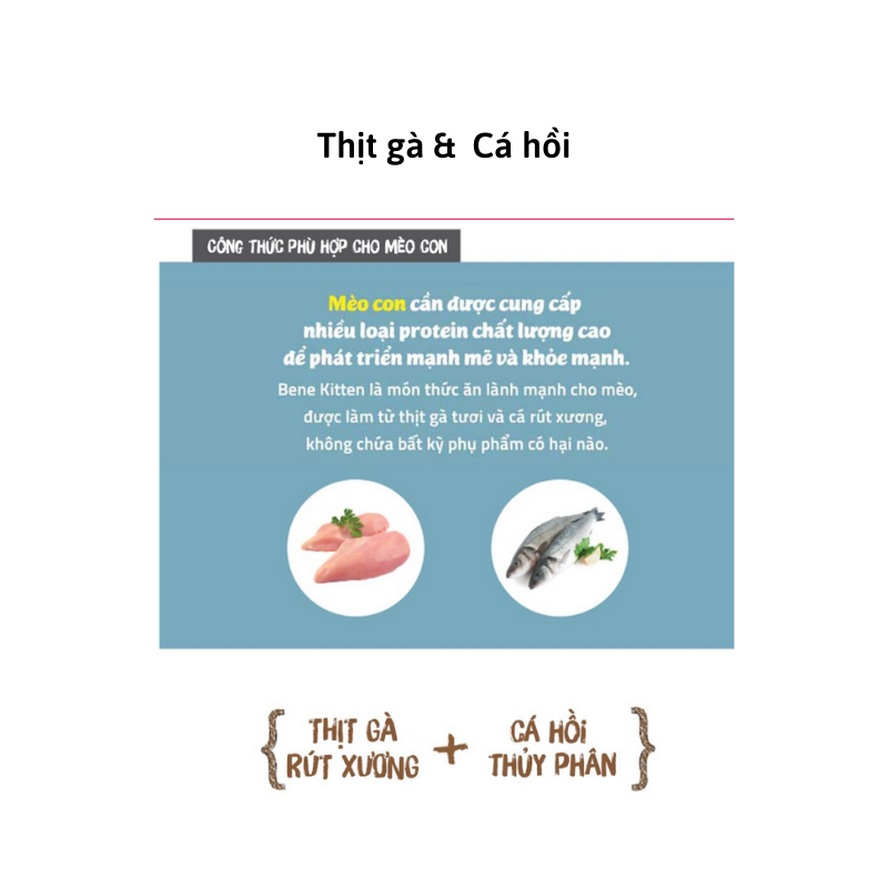 [1kg] Thức Ăn Cho Mèo Con 🐈 Hạt Hữu Cơ Bene Natural Core kitten c1