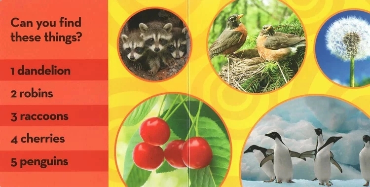 National Geographic Kids - Look & Learn (12 cuốn - Sách thiếu nhi tiếng anh)
