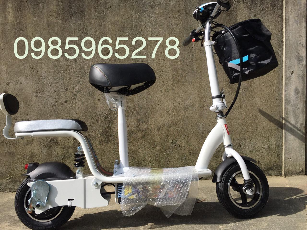 Xe đạp điện escooter hai chỗ ngồi