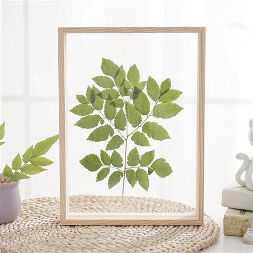 Khung ảnh để bàn, khung hình gỗ thông phong cách Hàn Quốc nhiều kích thước MS02