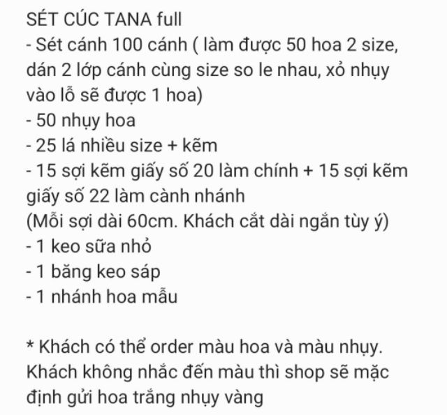 Hoa giấy cúc Tana (có nhiều lựa chọn)