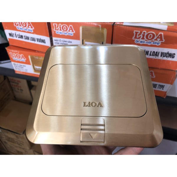 Ổ Cắm Đôi 3 Chấu Âm Sàn Lioa