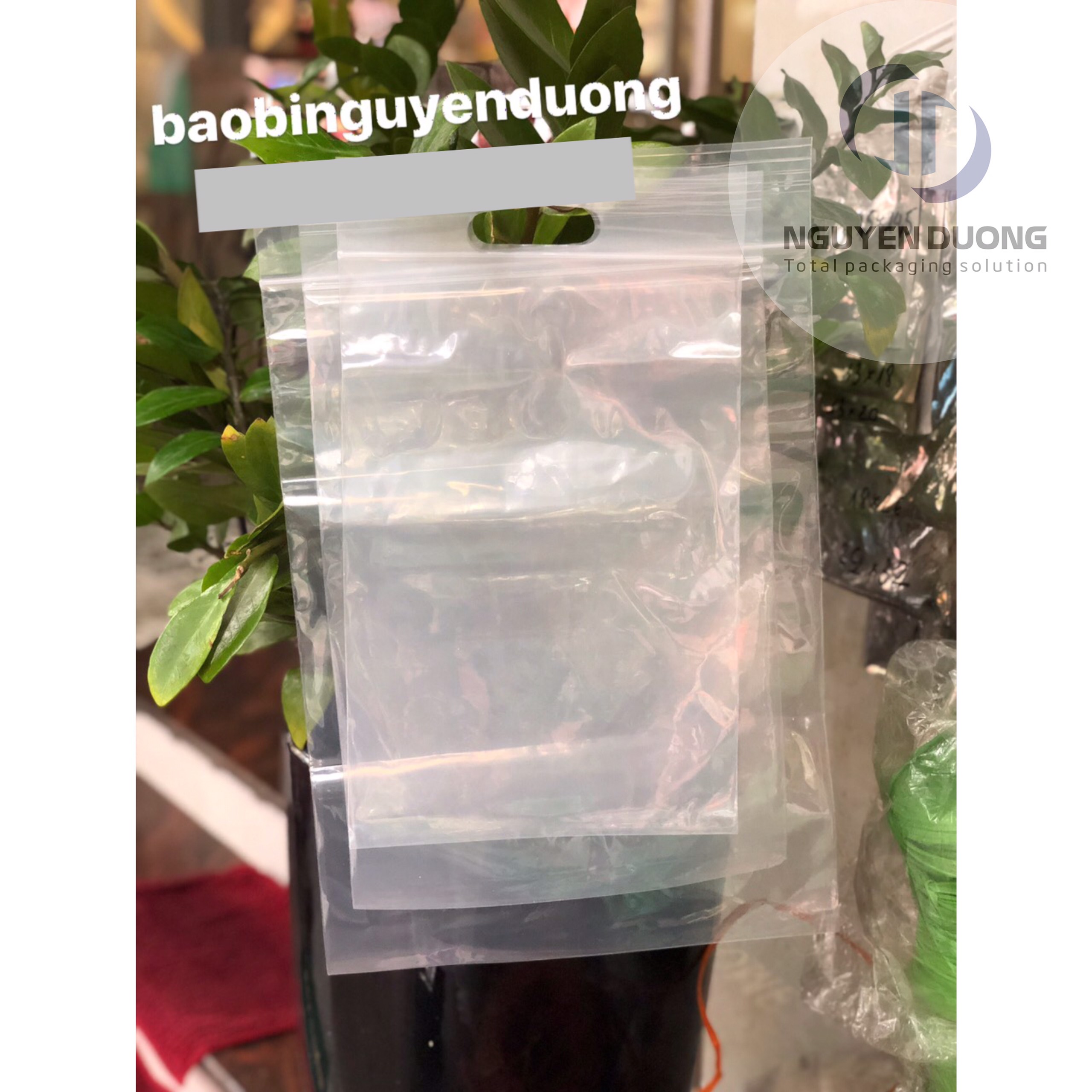 1kg Túi zip trong đột lỗ hột xoài