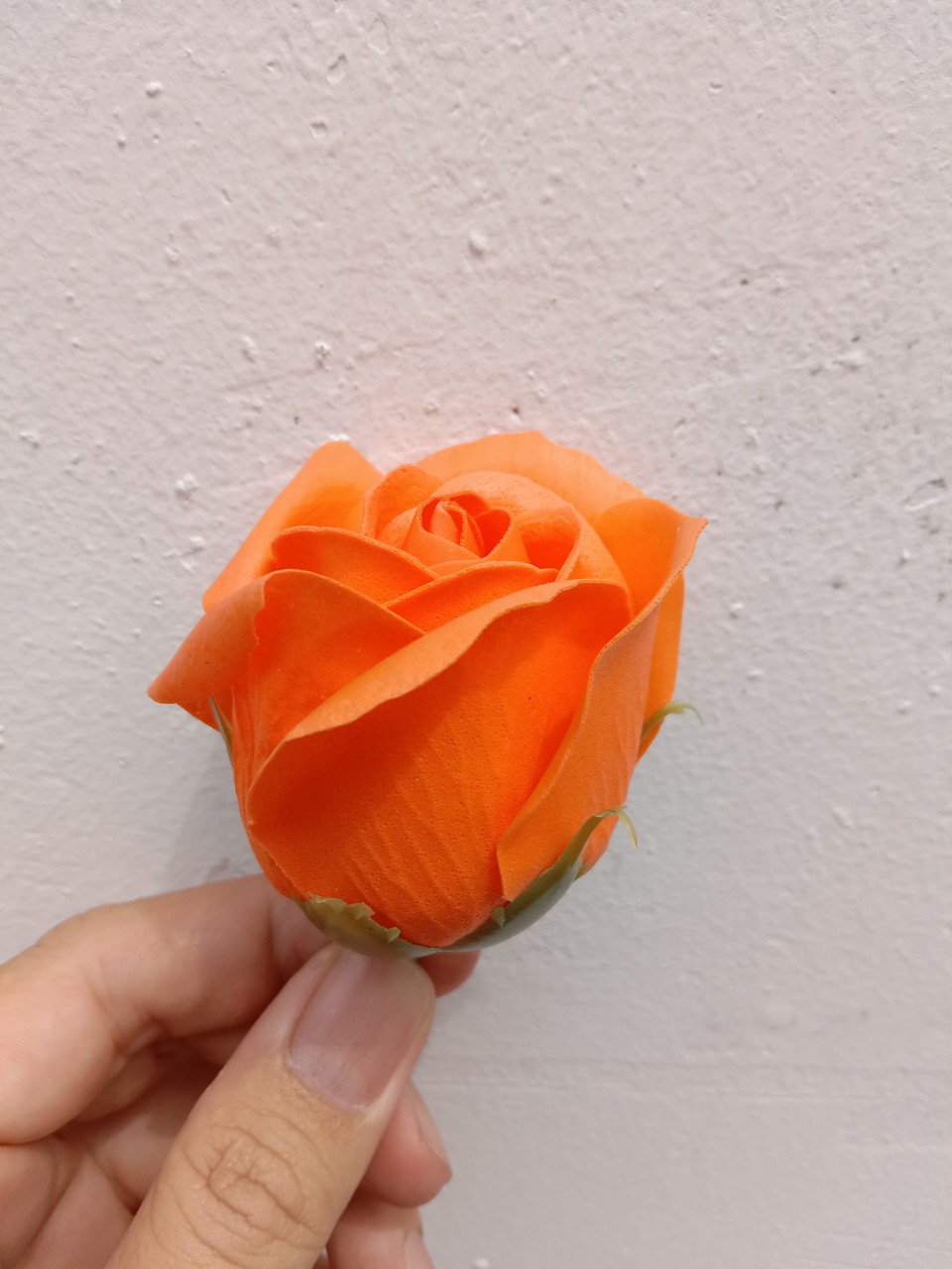 đầu bông hoa hồng sáp 3 lớp cánh