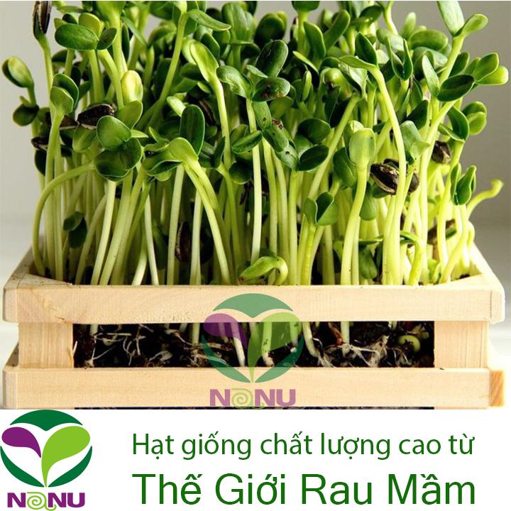 Gói 100g Hạt Giống Rau Mầm Hướng Dương - Thế Giới Rau Mầm