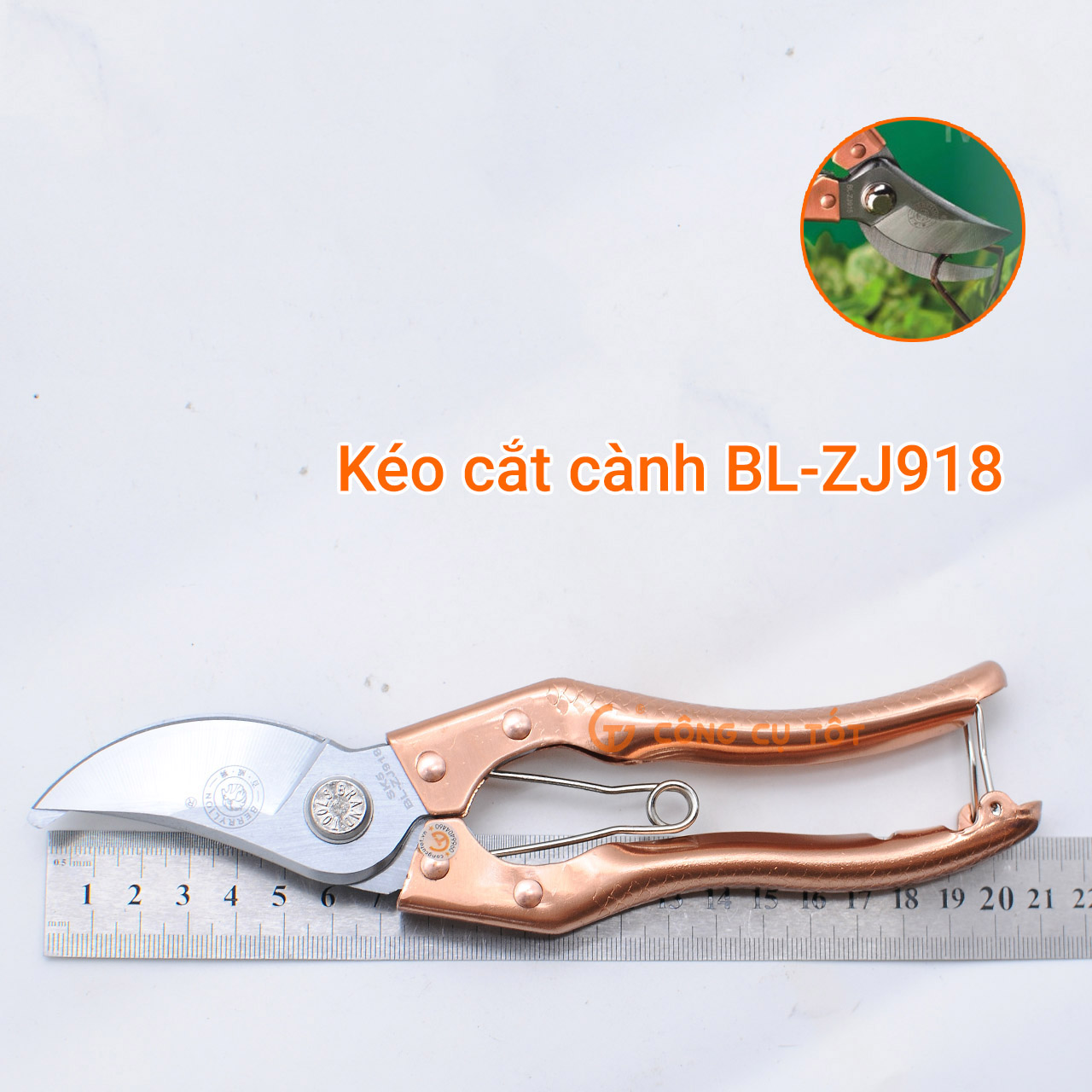 Kéo cắt cành mỏ cong cán đồng Berrylion