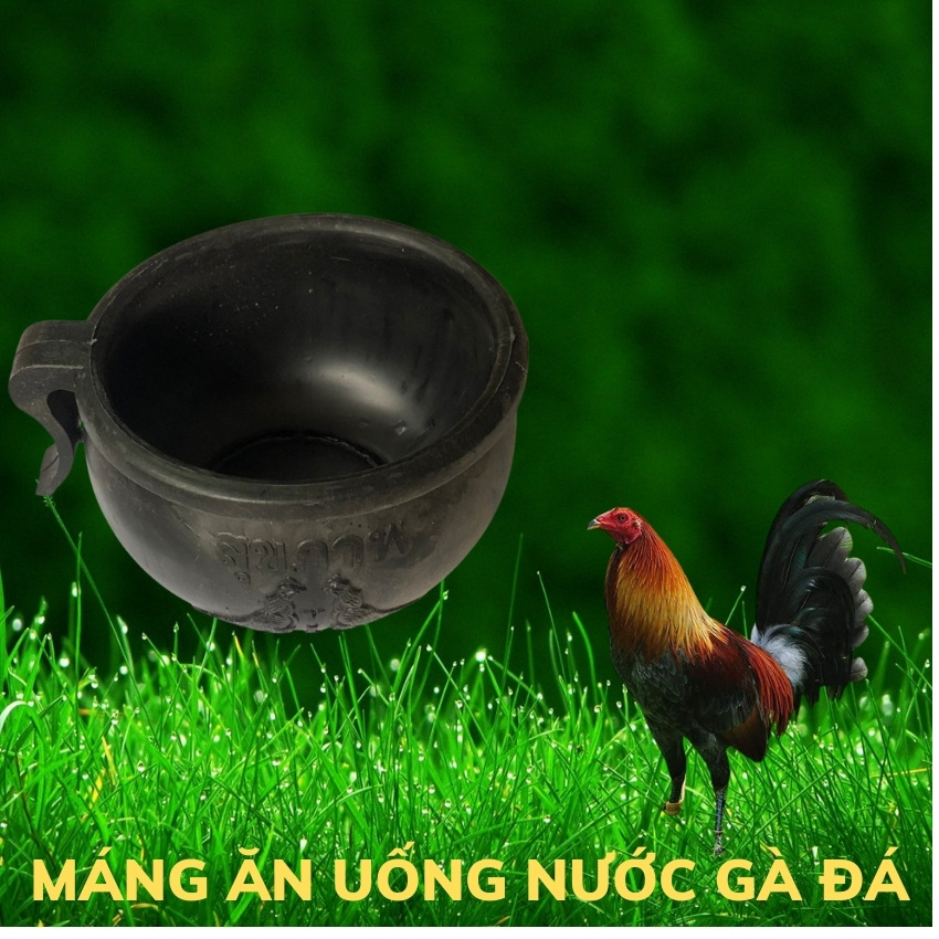 gáo ăn cao su kiểu thái lan.[ 1 cái ] máng ăn cho gà. máng ăn uống cho gia cầm.chén ăn uống cho chim. 5