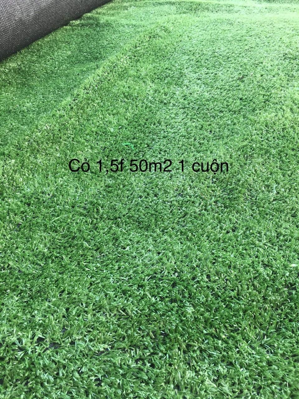 12 mét vuông thảm cỏ nhân tạo độ cao 1,5 cm(KT 2mx6m)
