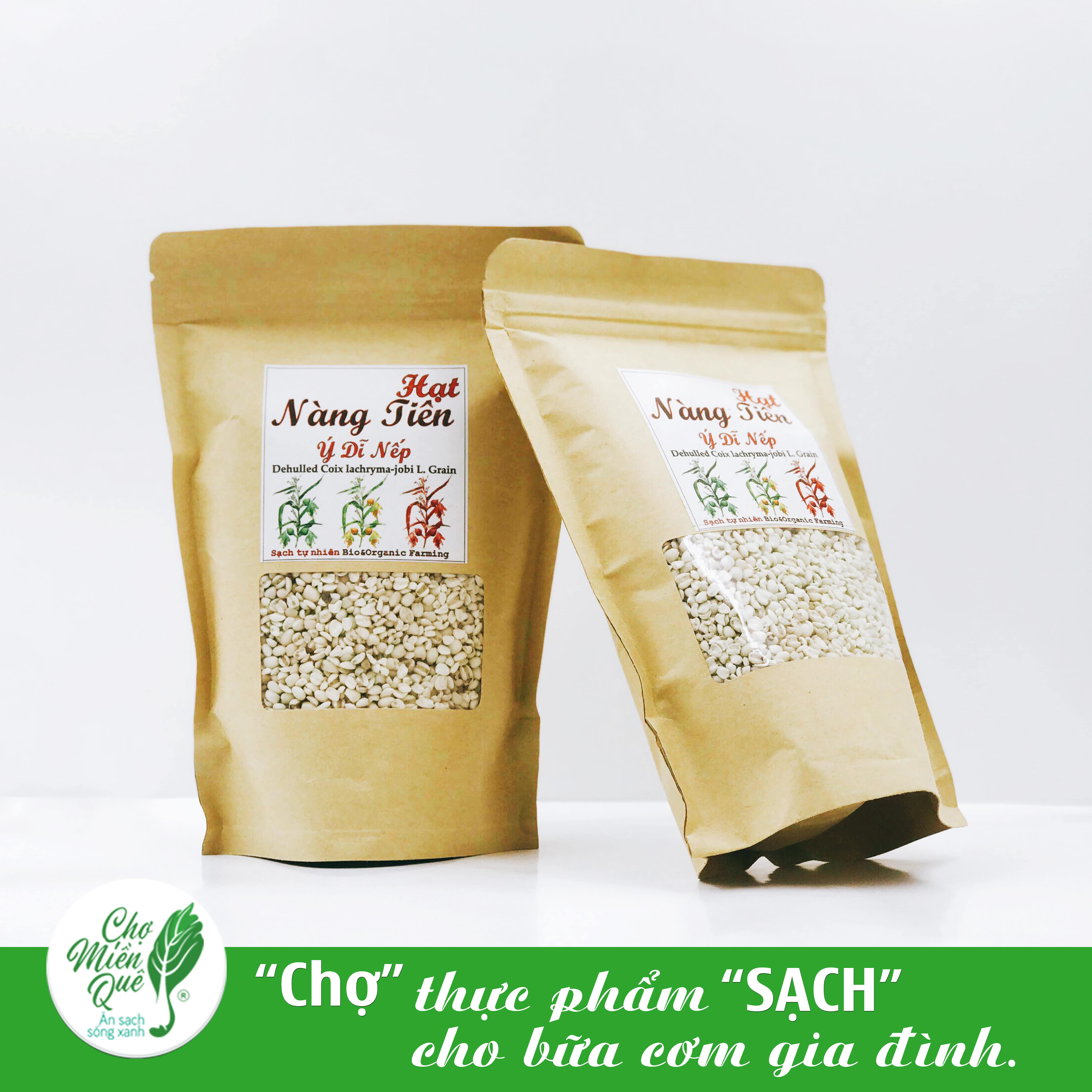 Hạt Ý Dĩ Nếp (500g) - CPS