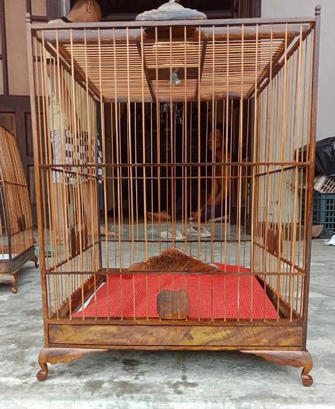 lồng chim