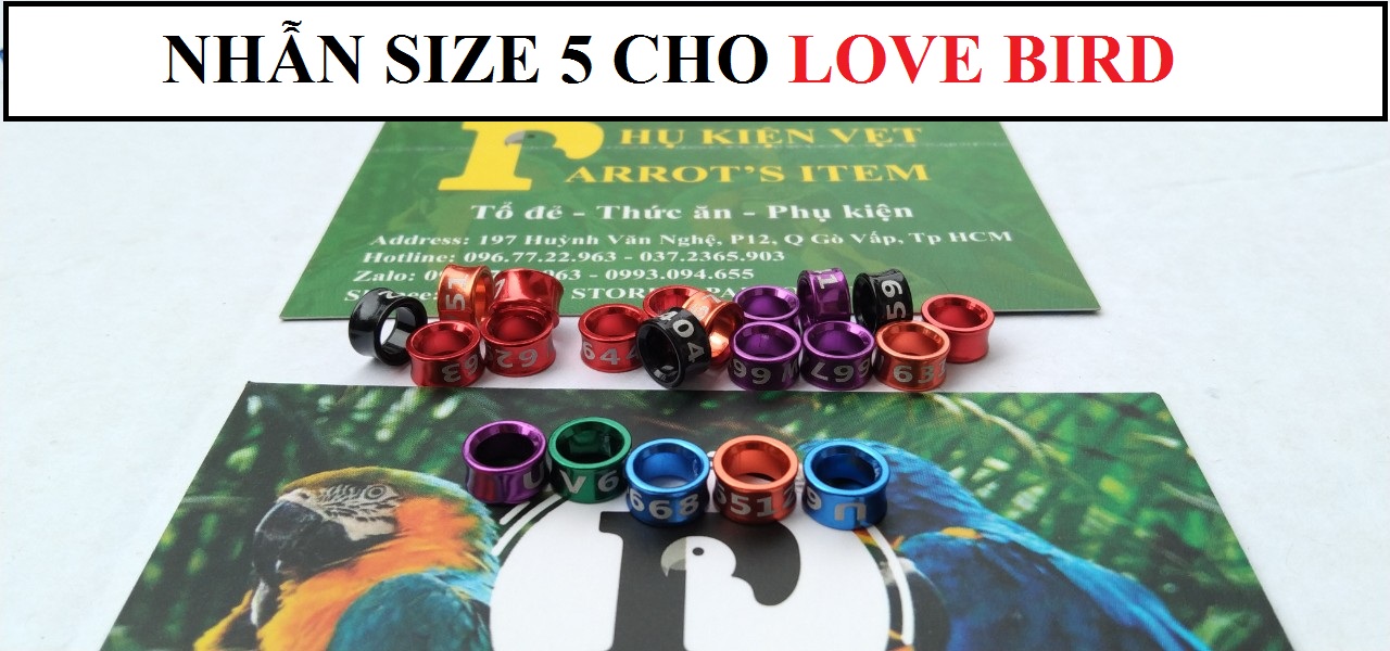 Nhẫn đeo chân cho chim cảnh, vẹt