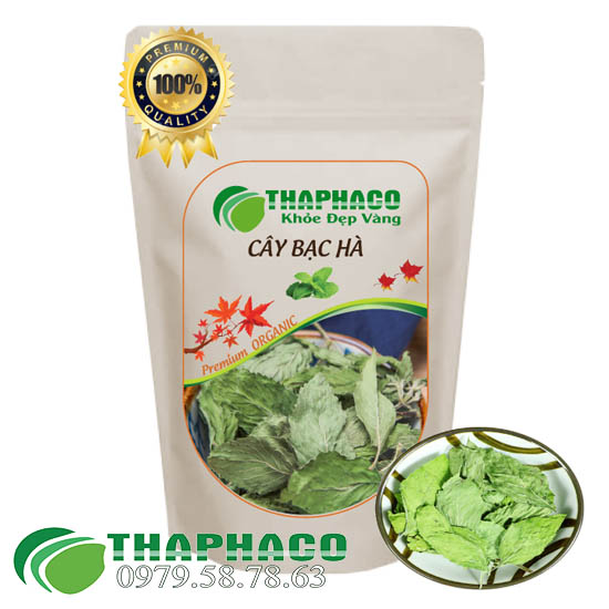 Cây bạc hà khô 100g giúp giải cảm nhanh chóng thaphaco
