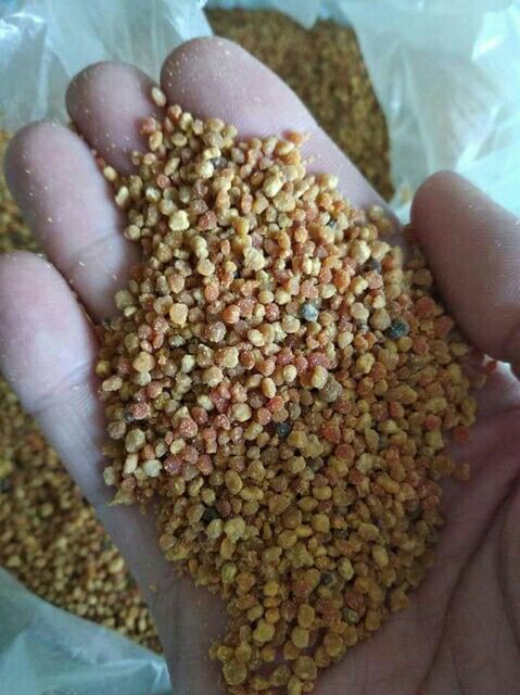 500g phấn hoa rừng