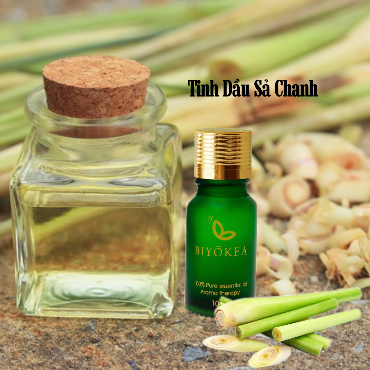 Tinh Dầu Sả Chanh Biyokea (10ml)