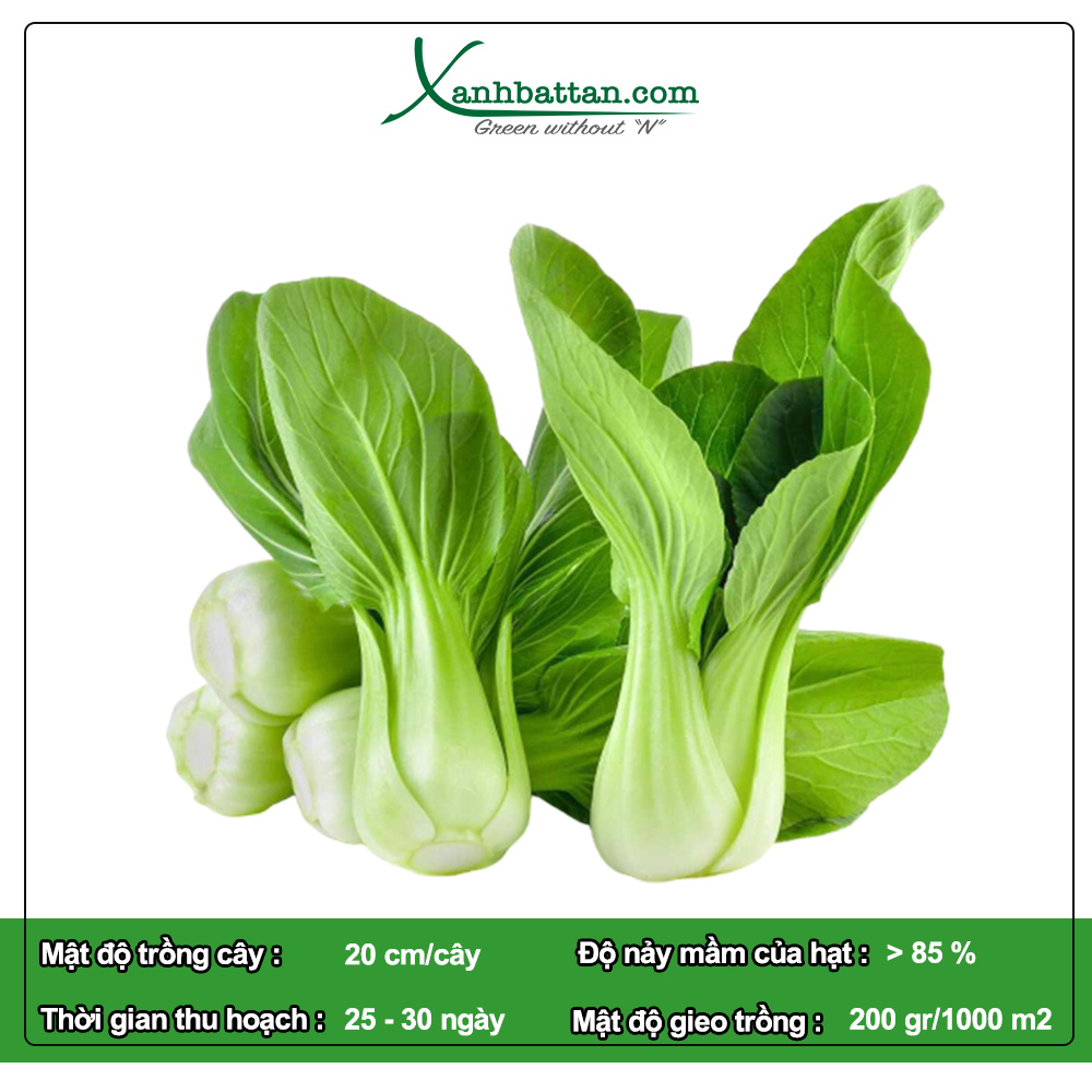 Hạt Giống Cải Thìa Phú Nông Gói 20 Gram