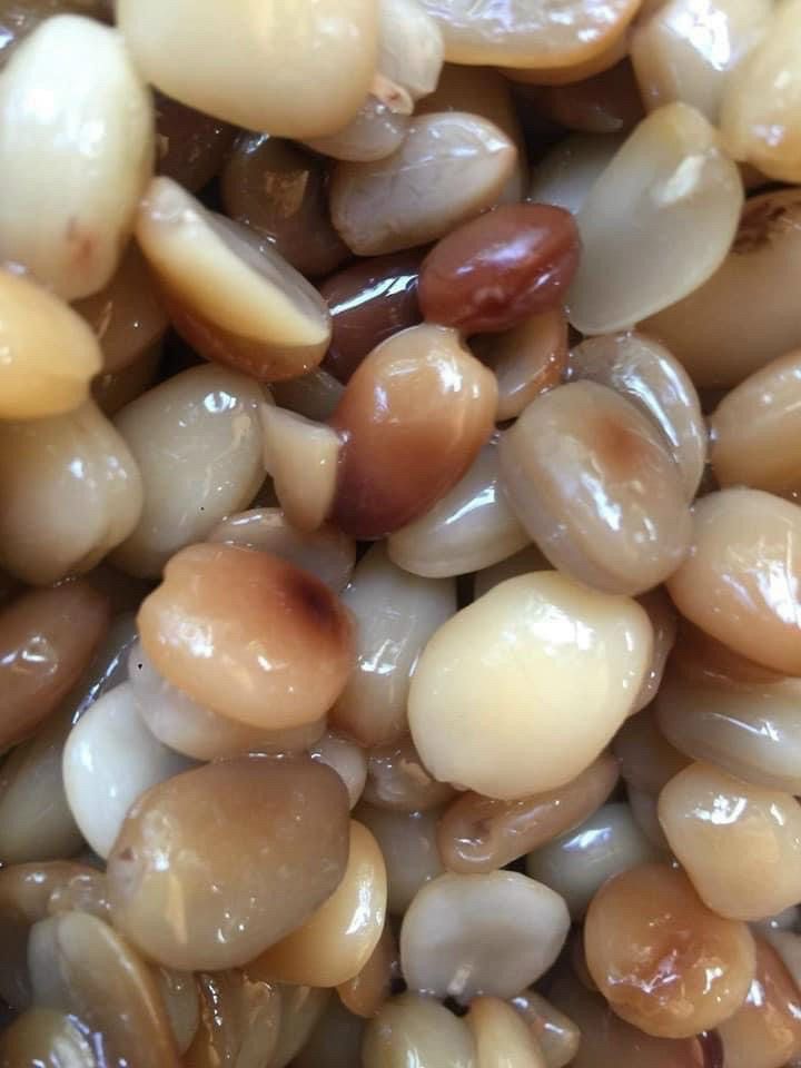 Me hạt mềm dẻo 500g uống nước đá