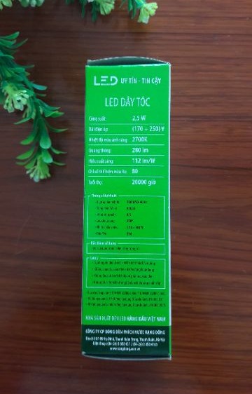 Bóng nến LED dây tóc 2.5W Rạng Đông