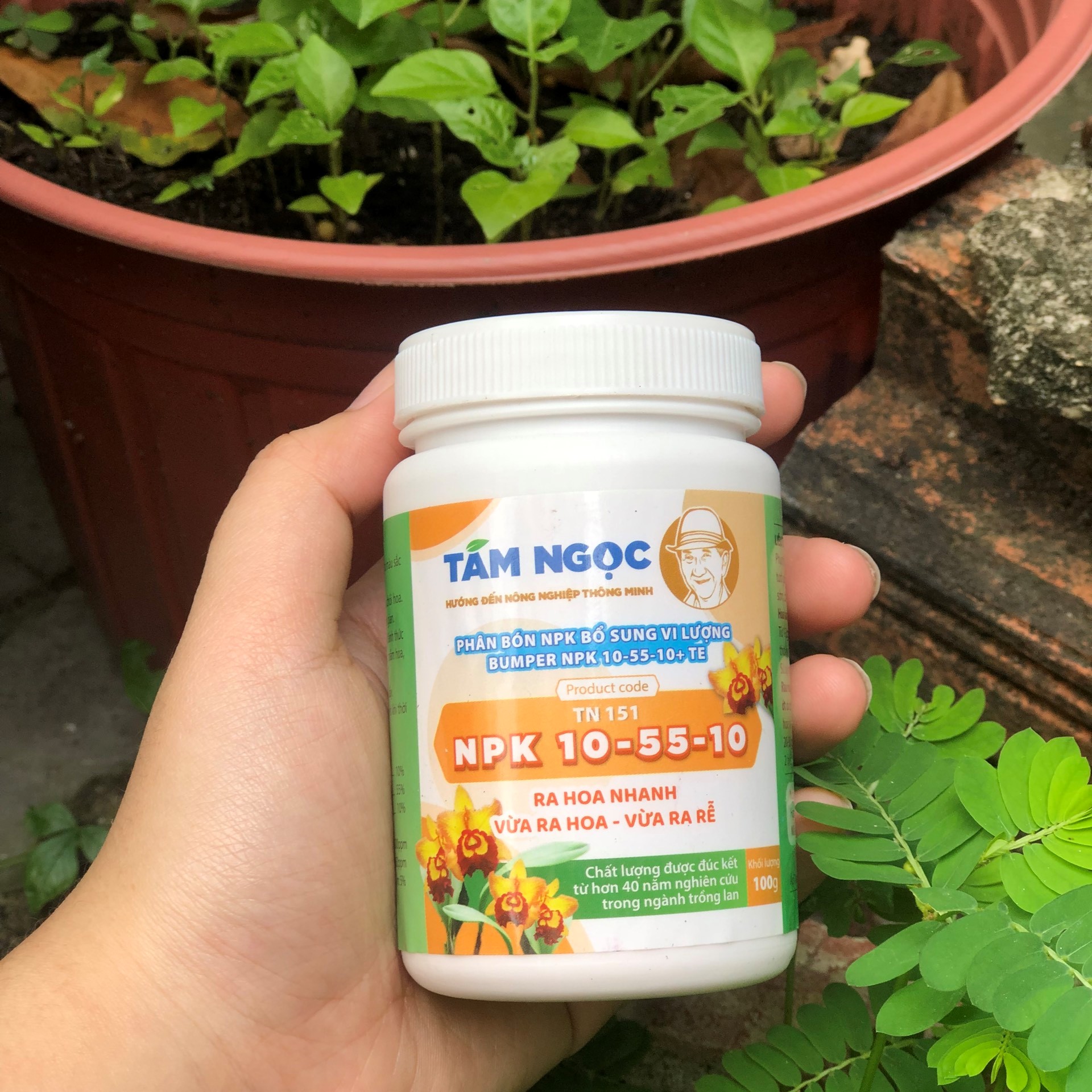 Phân bón npk tám ngọc -100g npk 10-55-10