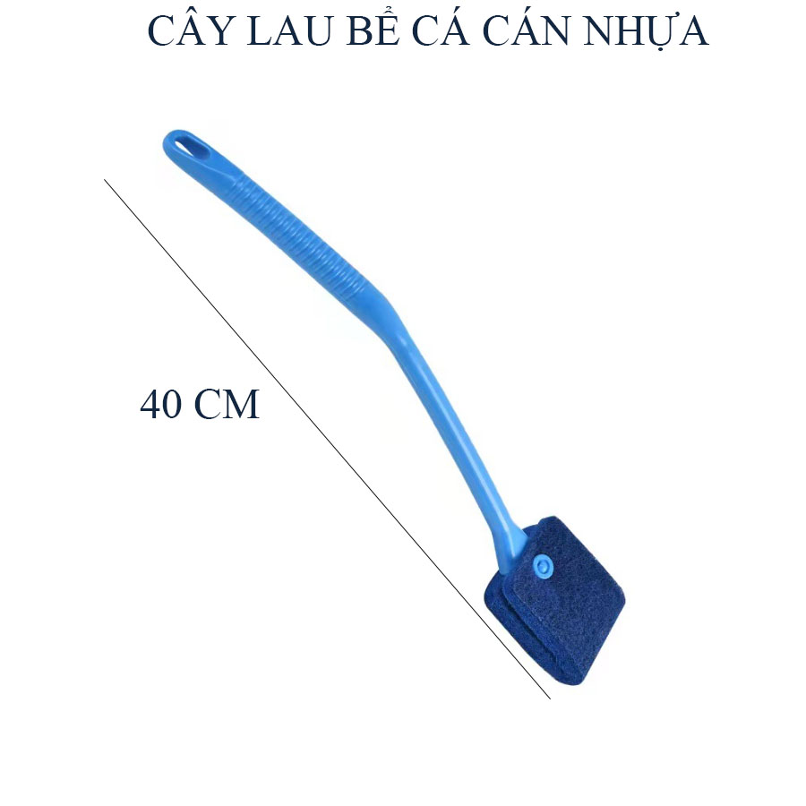 CÂY LAU KÍNH HỒ CÁ HỒ THỦY SINH