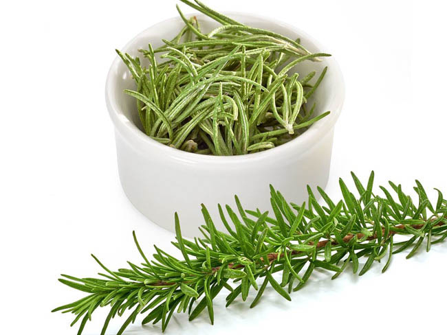 TRÀ HƯƠNG THẢO/ROSEMARY - MỘC HOA TRÀ