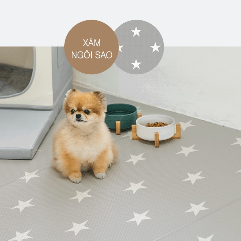 DFANG - Thảm nhảy chống trượt cho thú cưng (Chó mèo)