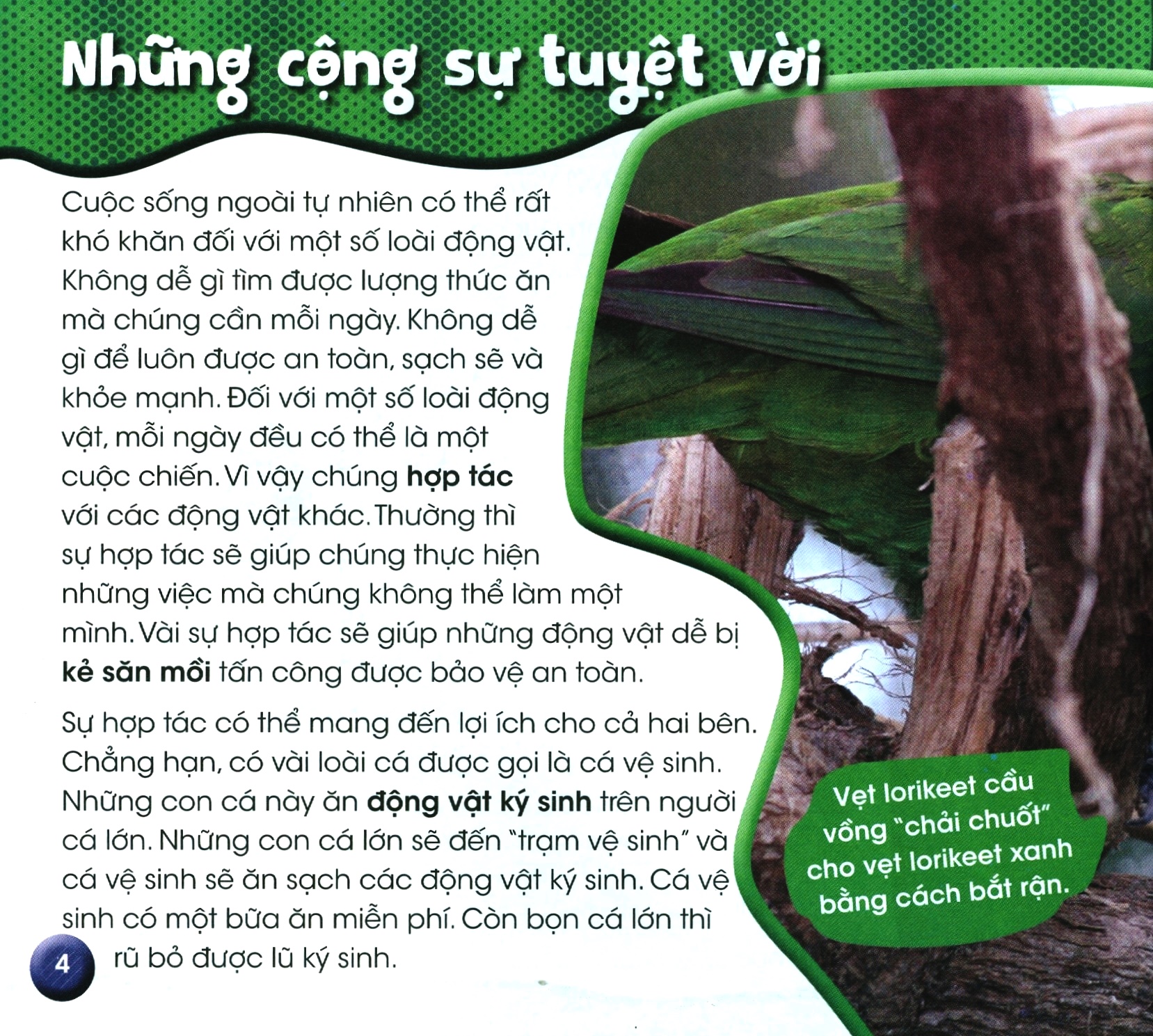 Độc Lạ Phi Thường - Quan Hệ Sống Còn