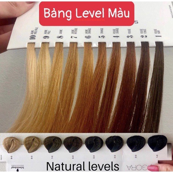 Màu nhuộm tóc  11/52 màu hồng cách sen