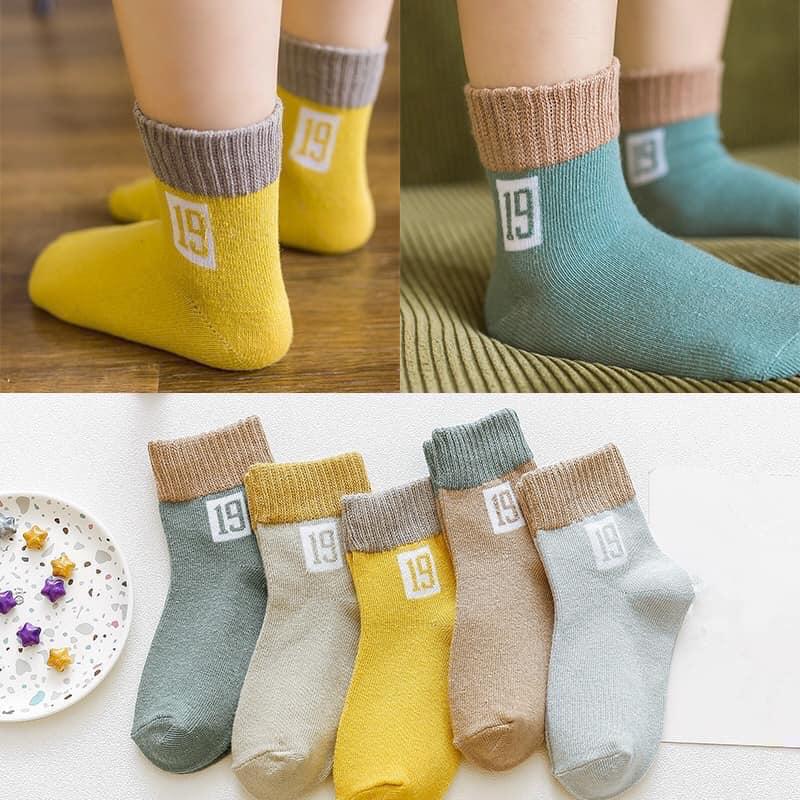 Combo 5 đôi tất cho bé 1-8 tuổi