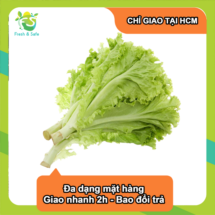 [Chỉ Giao HCM] Xà Lách Lolo Xanh - 300g