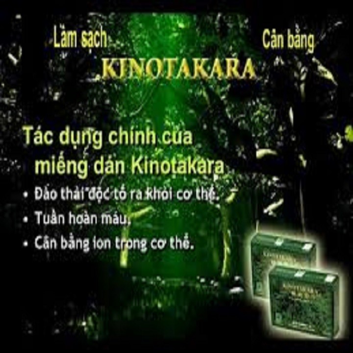 MIẾNG DÁN THẢI ĐỘC KINOTAKARA - kl012