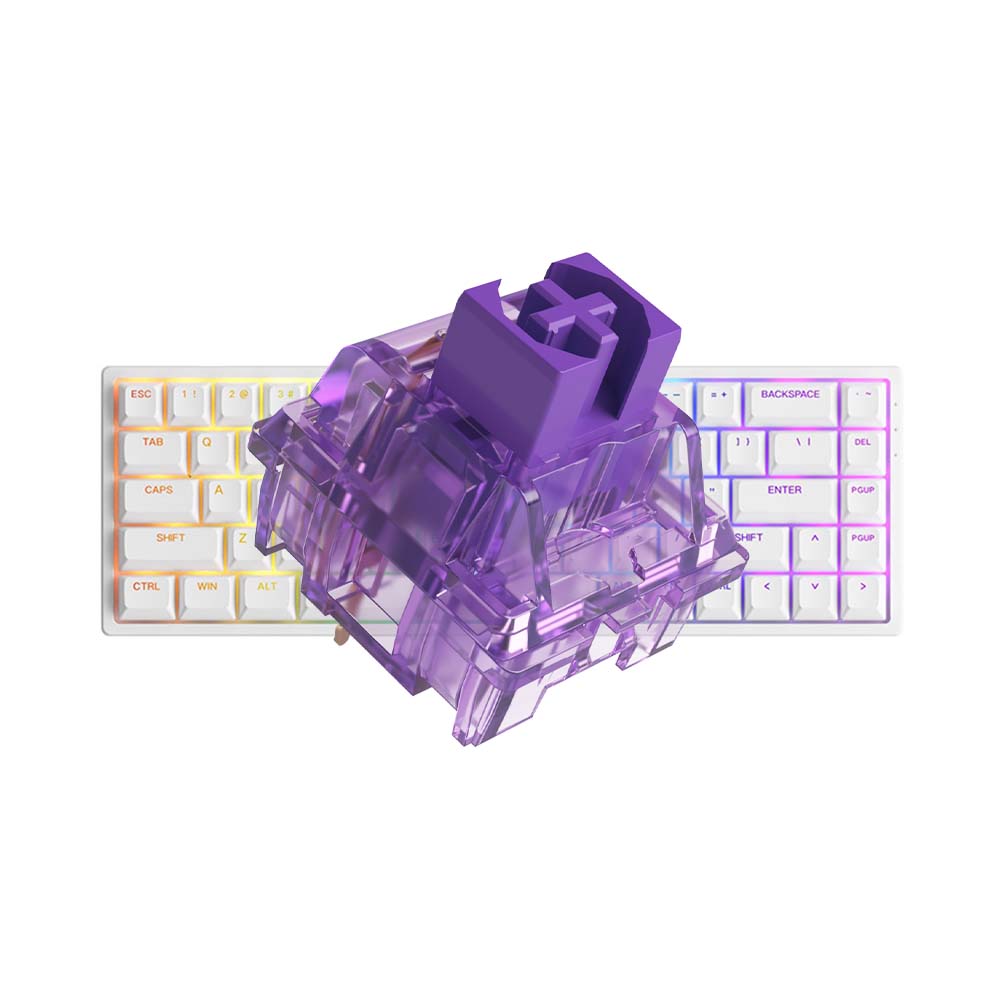 Bàn phím cơ AKKO 3068 v2 RGB – Black/White