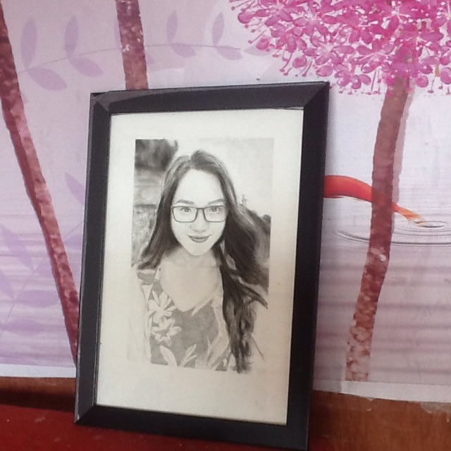 Photo Frame 40X60 with Mica Surface