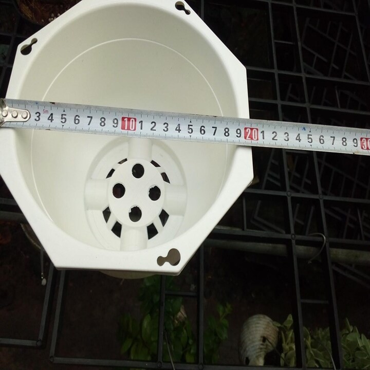 10 chậu nhựa trắng  20cm